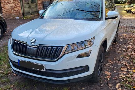Skoda Kodiaq 173.000 km 19.600 &euro; Forst 03149