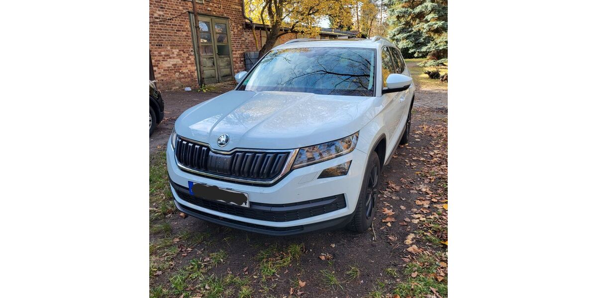 Skoda Kodiaq 173.000 km 19.600 &euro; Forst 03149