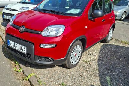 Fiat Panda 10.800 km 13.990 € Engelskirchen 51766