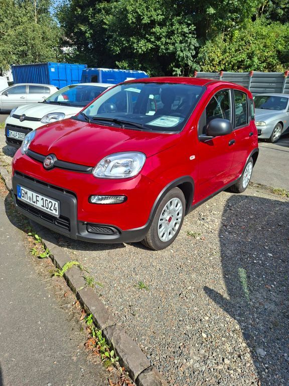 Fiat Panda 10.800 km 13.990 € Engelskirchen 51766