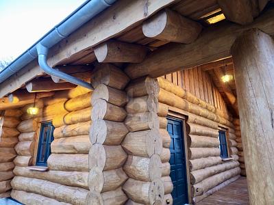 NEUBAU MIT NATURIDYLLE & GROßEM GRUNDSTÜCK - Einfamilienhaus Ebersdorf | Angebot:26674247