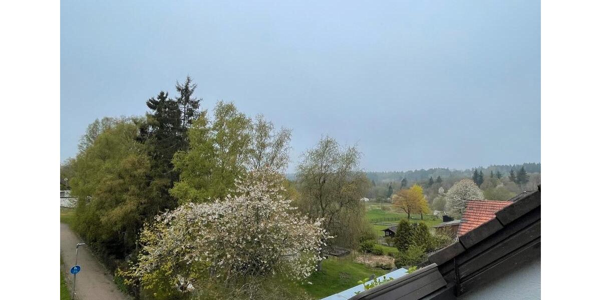 Dachgeschoßwohnung Holzminden - 2 Zimmer, 55 m&sup2;, 44.500&euro; | Angebot:26387341