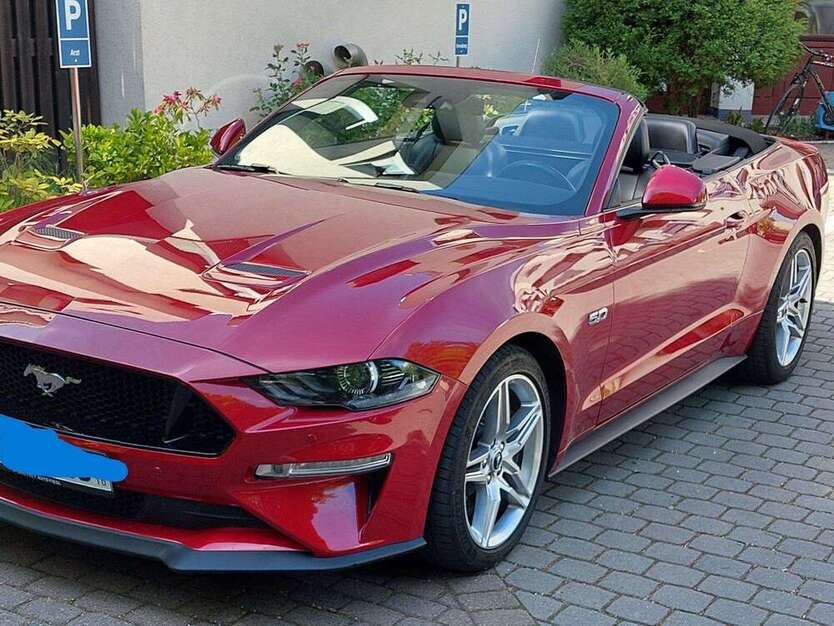 Mustang