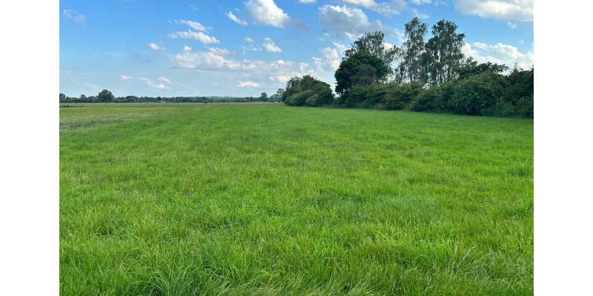 Grundstück Sontheim an der Brenz - 21.500&euro; | Angebot:20496215