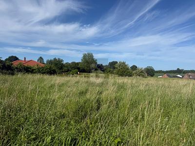 VIELE MÖGLICHKEITEN IN ENTSPANNTER ORTSLAGE - Grundstück Riepsdorf | Angebot:26762840