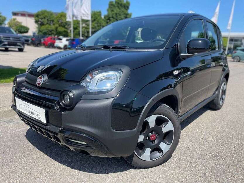 Panda