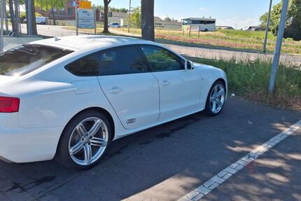 Audi A5 218.000 km 11.900 &euro; Vreden 48691