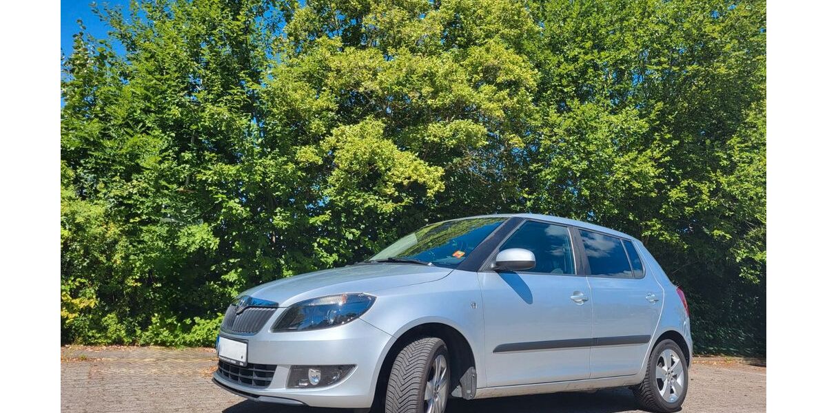Skoda Fabia 134.457 km 4.890 &euro; Mörlenbach 69509