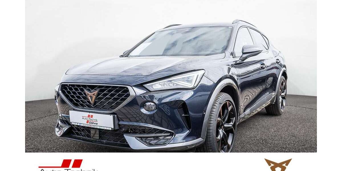 Cupra Formentor 93.916 km 25.880 &euro; Rathenow 14712