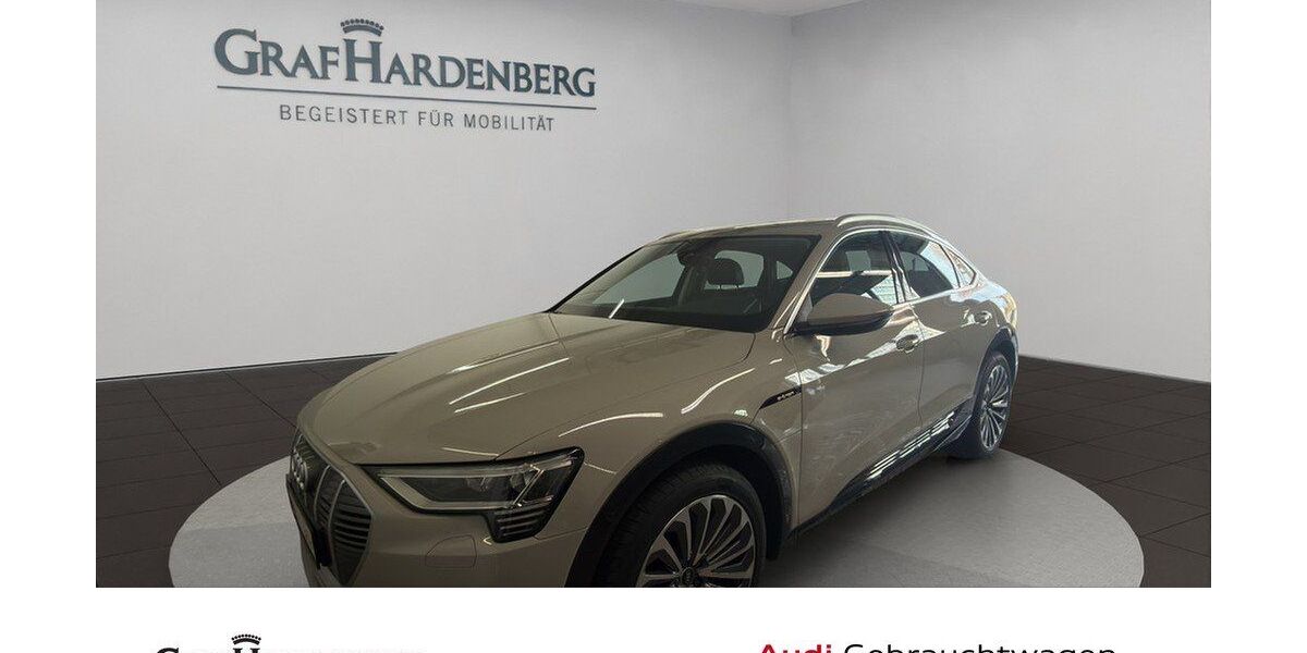 Audi e-tron 55.900 km 27.930 &euro; Konstanz 78467