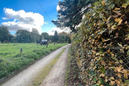 Haus Dresden Loschwitz - 3 Zimmer, 60 m&sup2;, 249.000&euro; | Angebot:25257613