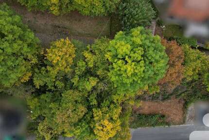 Grundstück zu verkaufen in Randersacker 77.000 € 236 m² zimmer