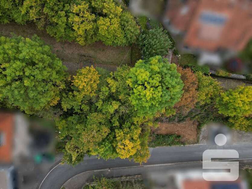 Grundstück zu verkaufen in Randersacker 77.000 € 236 m² zimmer