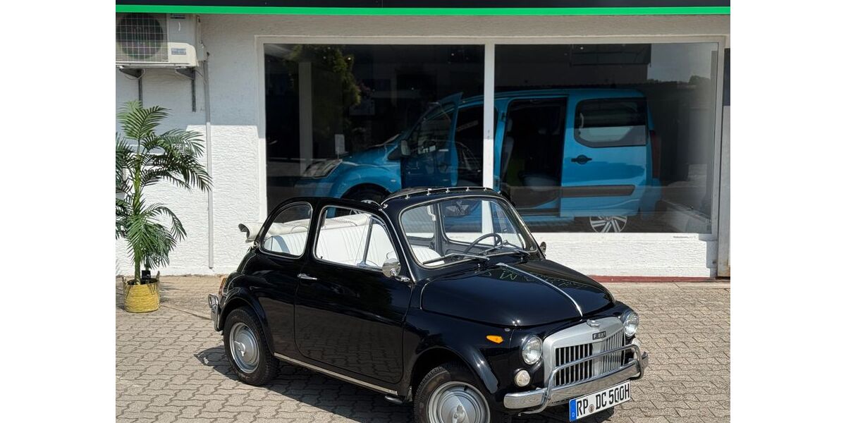 Fiat 500L 57.000 km 9.999 &euro; Waldsee 67165