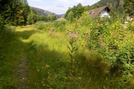 Bad Lauterberg, Grundstück zimmer