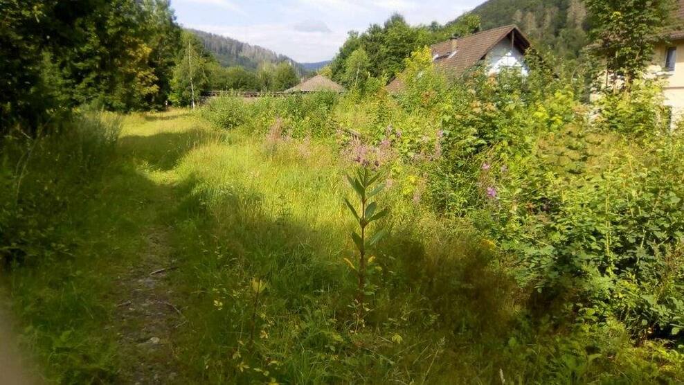 Bad Lauterberg, Grundstück zimmer