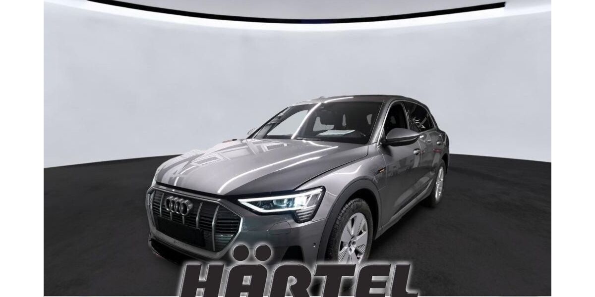 Audi e-tron 31.300 km 29.200 &euro; Osnabrück 49084