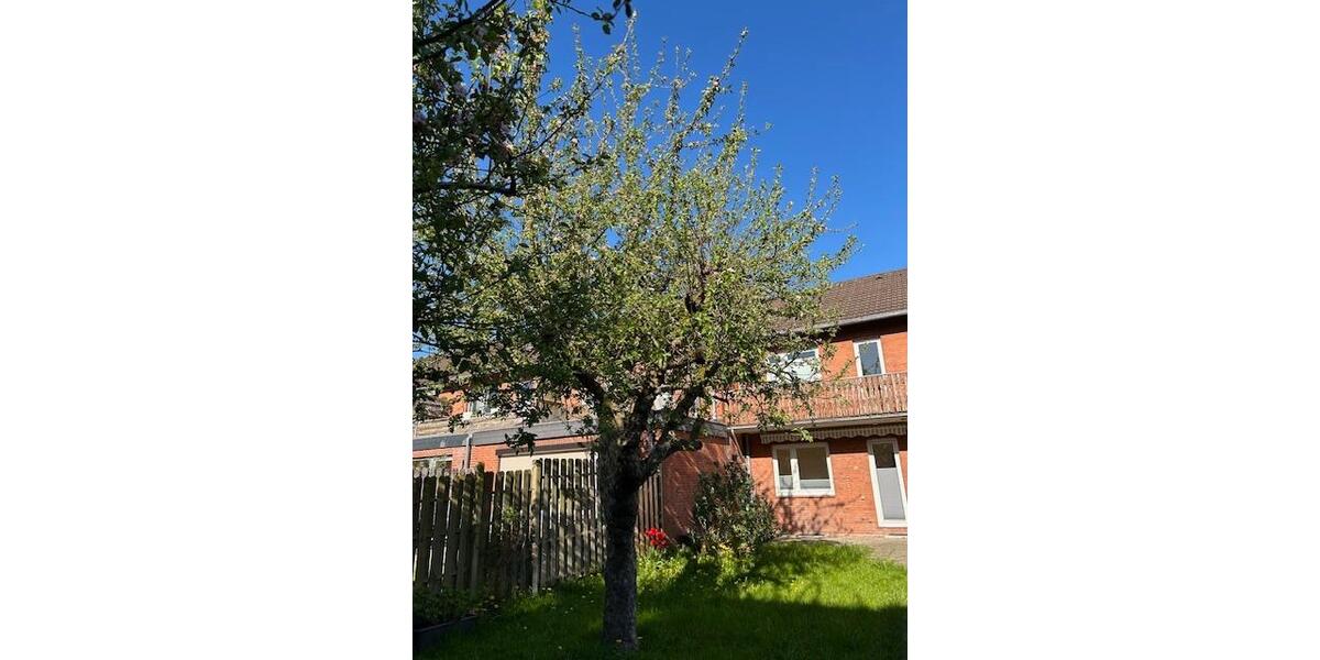 Reihenhaus Flensburg Fruerlund - 5 Zimmer, 95 m&sup2;, 258.000&euro; | Angebot:26424693