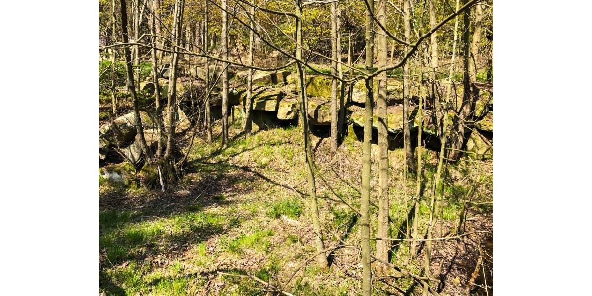 Bauernhaus, Landhaus Neustadt Berthelsdorf - 5 Zimmer, 150 m&sup2;, 485.000&euro; | Angebot:25770653