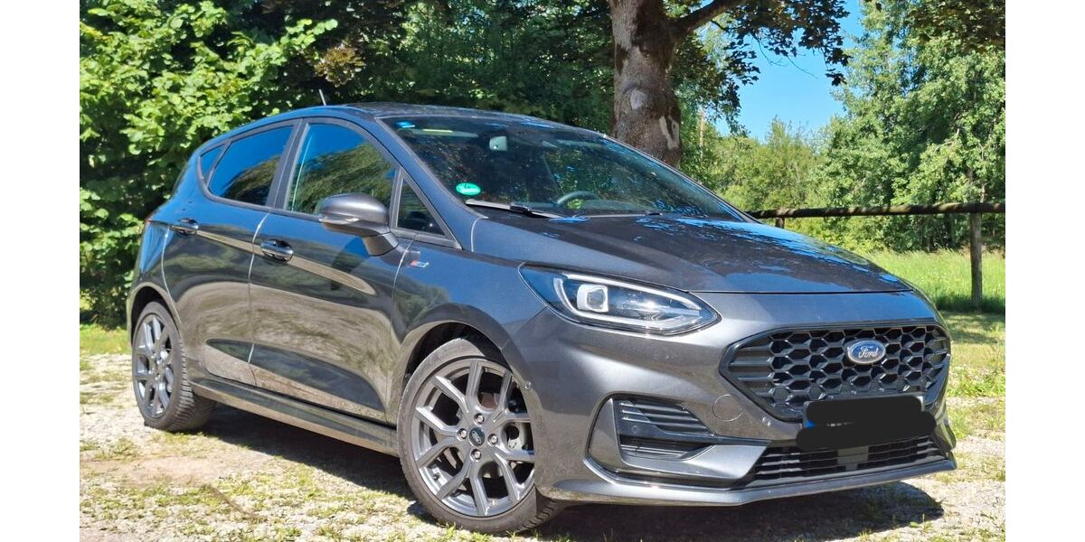 Ford Fiesta 11.000 km 17.000 &euro; Engelsberg 84549