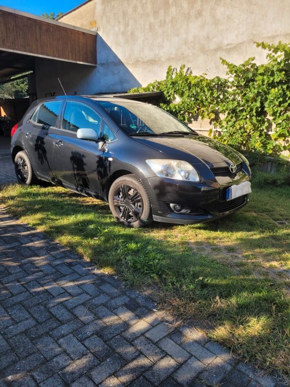 Auris