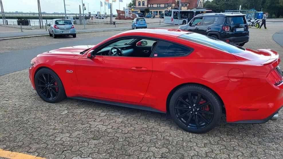 Mustang