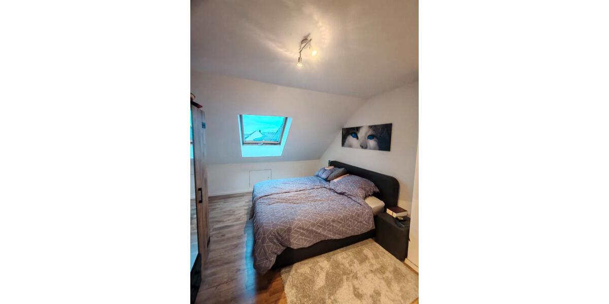 Dachgeschoßwohnung Zweibrücken - 2 Zimmer, 65 m&sup2;, 520&euro; | Angebot:26363197