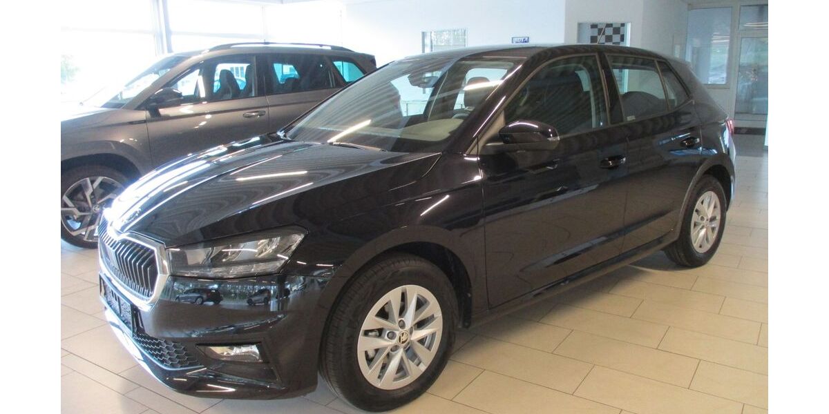 Skoda Fabia 8.730 km 17.790 € Perleberg 19348