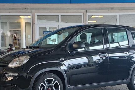 Fiat Panda 12.811 km 12.490 &euro; Steinbergkirche 24972