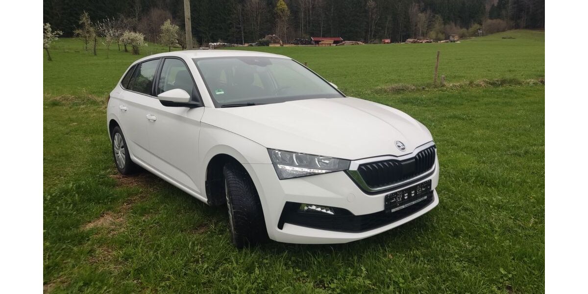 Skoda Scala 21.660 km 15.000 &euro; Samerberg 83122