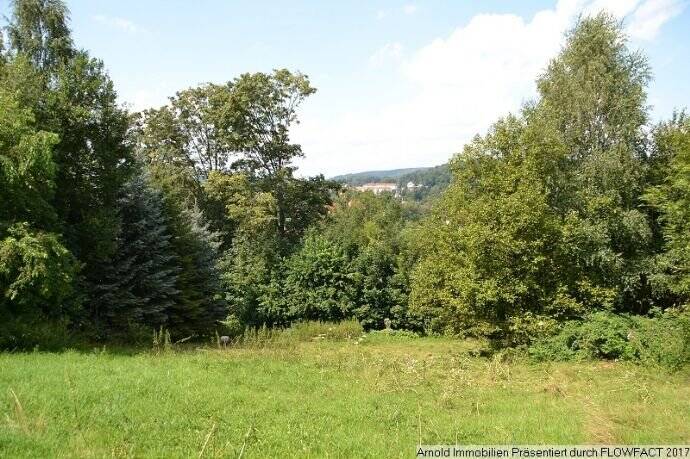 Grundstück Sebnitz - 18.000&euro; | Angebot:25748988