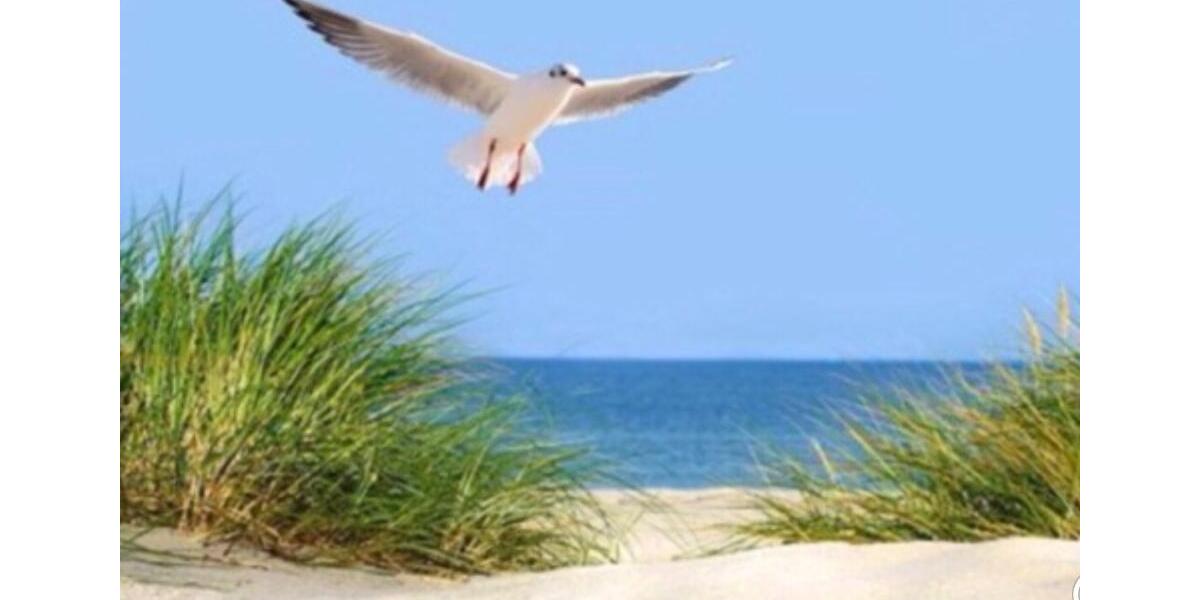 Einfamilienhaus Großenwiehe - 4 Zimmer, 125 m&sup2;, 520.000&euro; | Angebot:25258478