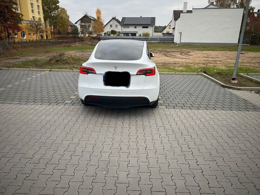 Model Y