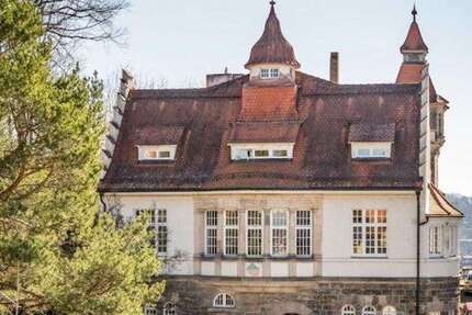 Wohnung Tübingen Lustnau - 1 Zimmer, 20 m&sup2;, 260&euro; | Angebot:27151238
