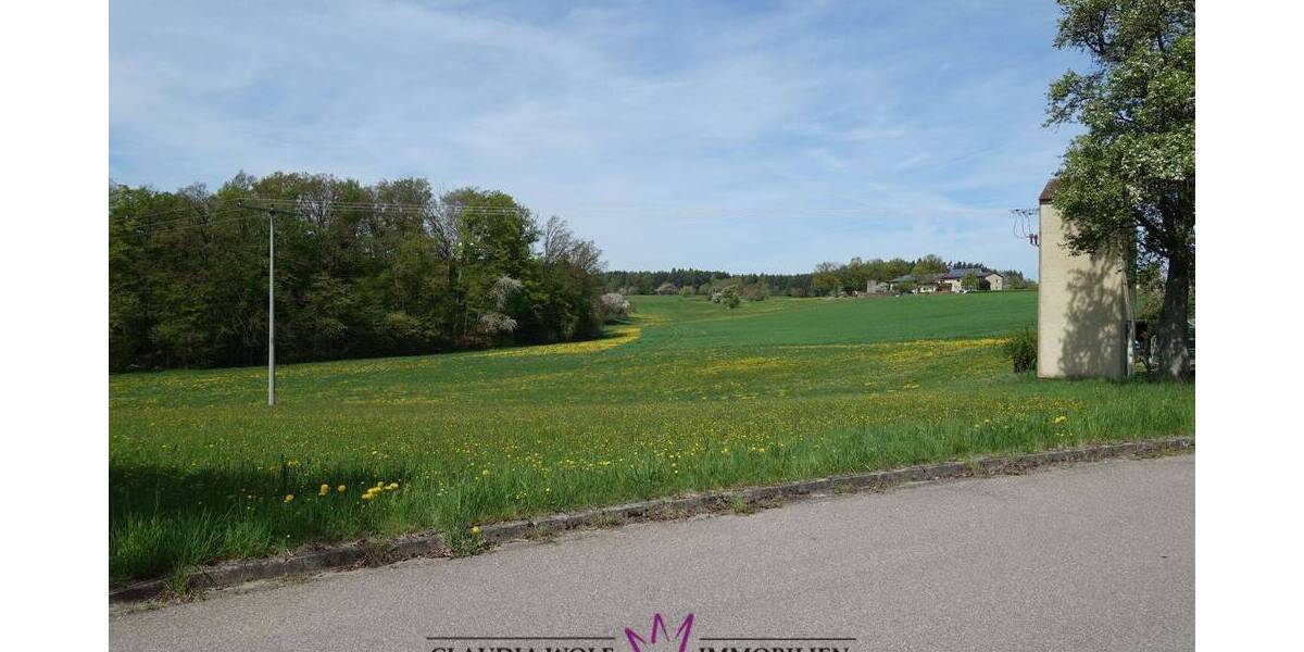 Grundstück Feuchtwangen Steinbach - 80.000&euro; | Angebot:25682839