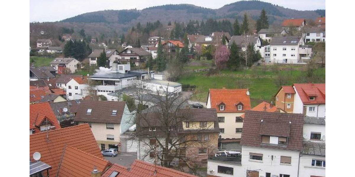 Etagenwohnung Schriesheim Altenbach - 3 Zimmer, 80 m&sup2;, 730&euro; | Angebot:26424399