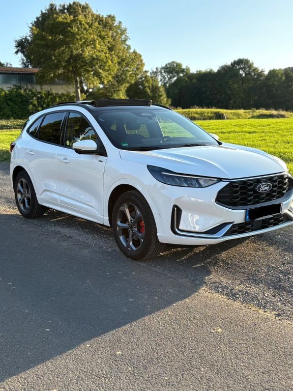 Kuga