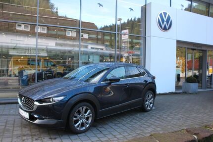 Mazda CX-3 100.190 km 16.890 € Wildberg 72218