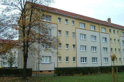Wohnung zum Mieten in Finsterwalde 255,30 € 46.98 m²
