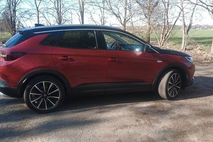 Opel Grandland (X) 38.000 km 22.500 &euro; Falkenberg 04895