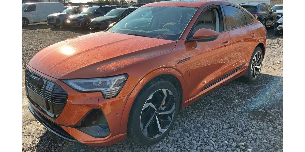 Audi e-tron 52.102 km 39.990 &euro; Nabburg 92507