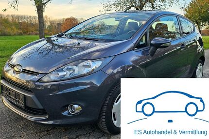 Ford Fiesta 102.563 km 8.990 &euro; Dülmen 48249