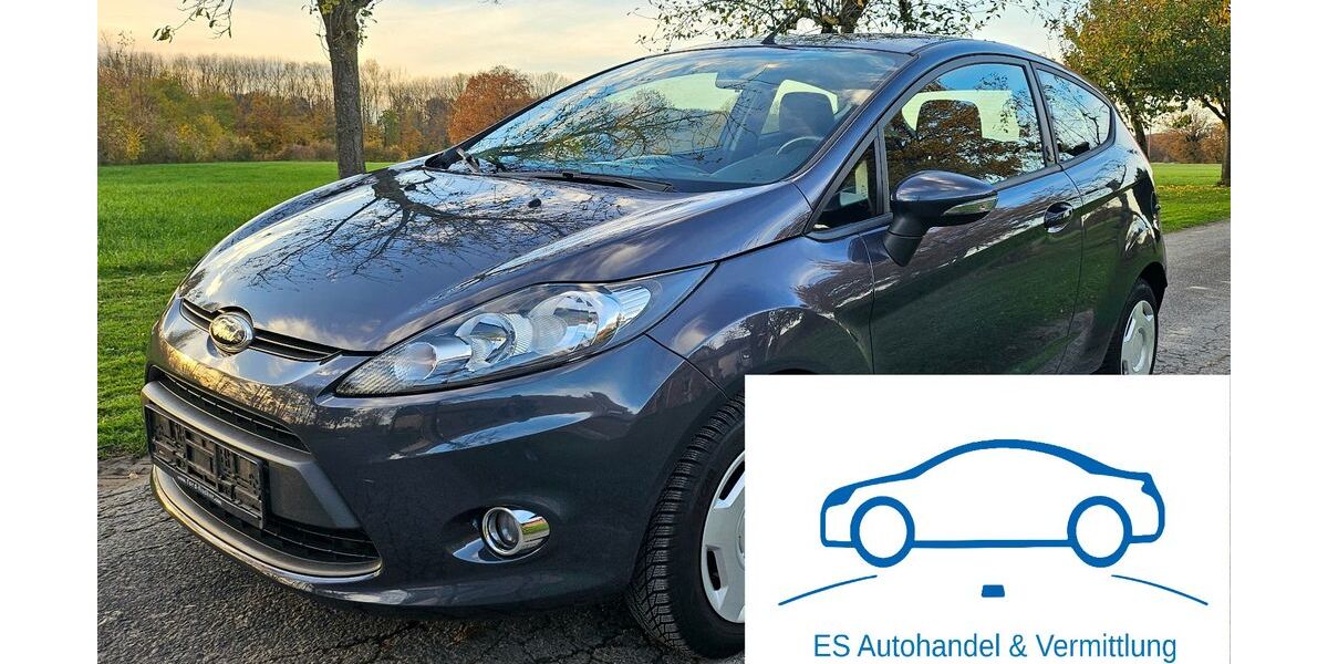 Ford Fiesta 102.563 km 8.990 &euro; Dülmen 48249