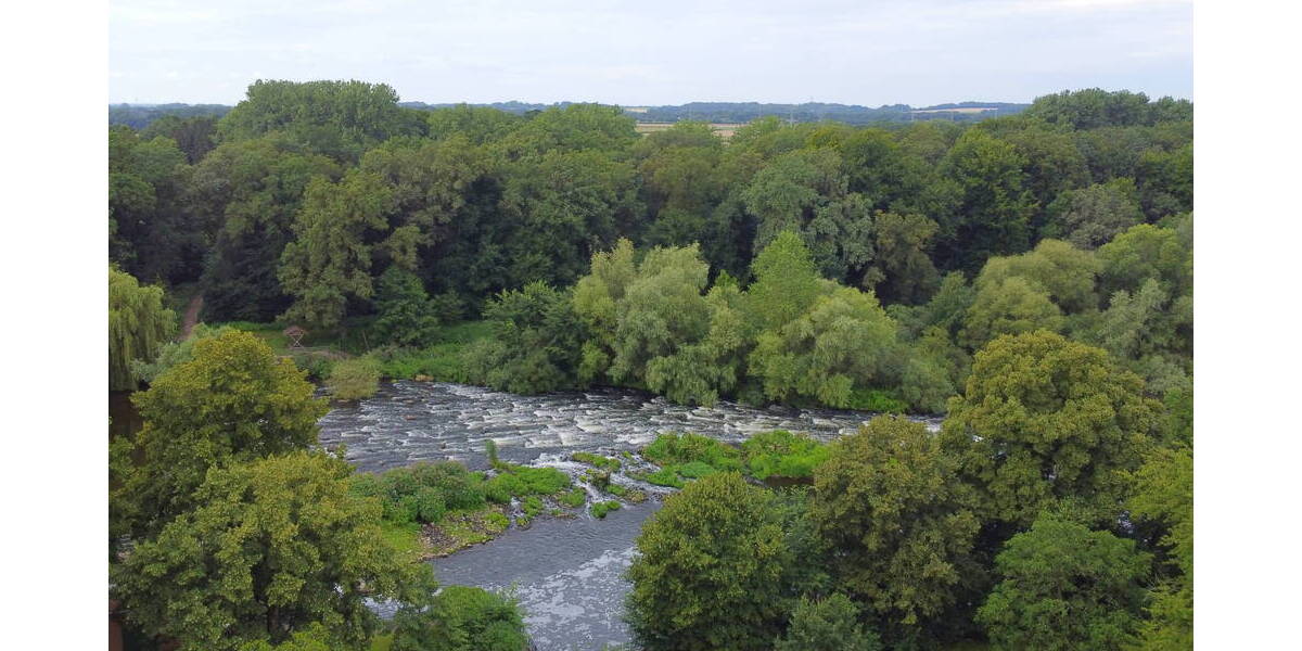 Mehrfamilienhaus, Wohnhaus Emsbüren Listrup - 7 Zimmer, 375 m&sup2;, 1.790.000&euro; | Angebot:23965481