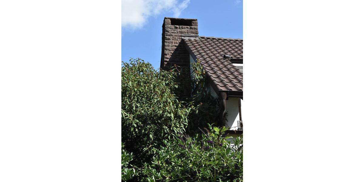 Einfamilienhaus Holzminden - 10.5 Zimmer, 294 m&sup2;, 420.000&euro; | Angebot:27004043