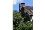 Einfamilienhaus Holzminden - 10.5 Zimmer, 294 m&sup2;, 420.000&euro; | Angebot:27004043