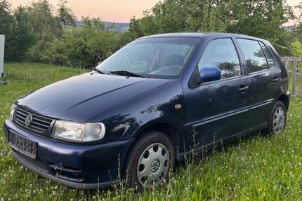 VW Polo
