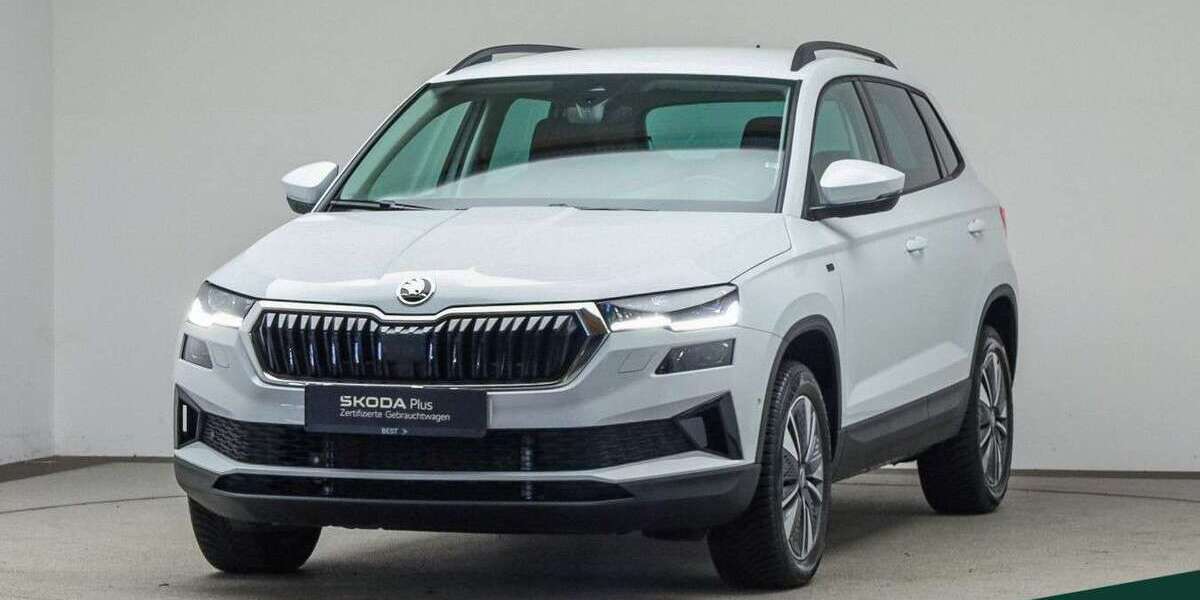 Skoda Karoq 22.200 km 31.999 &euro; Mühlheim a. Main 63165
