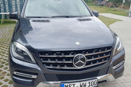Mercedes-Benz ML 250 210.000 km 17.890 € Friedland 17098