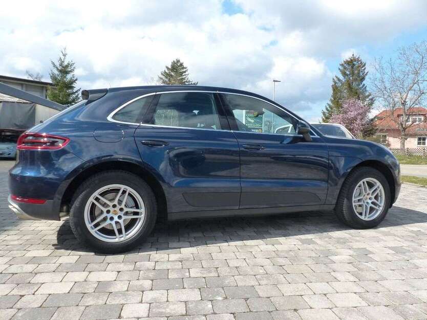 Macan